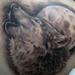tattoo galleries/ - black and grey realistic wolf tattoo brent olson art junkies tattoo